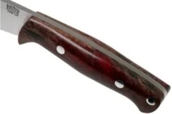 Bark River North Country EDC CPM 154, Red & Black Maple Burl Fixed Knife 11 Bark River North Country EDC CPM 154, Red & Black Maple Burl Fixed Knife -Knife Shop BRK02 054RBMB 05 bark river knives