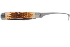 Case Equestrian Amber Jigged Bone, 00144, 6254HP SS Pocket Knife -Knife Shop CE144 03 case ce144 03