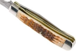Case Equestrian Amber Jigged Bone, 00144, 6254HP SS Pocket Knife -Knife Shop CE144 07 case ce144 07