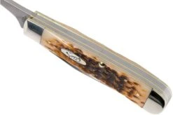 Case Equestrian Amber Jigged Bone, 00144, 6254HP SS Pocket Knife -Knife Shop CE144 08 case ce144 08