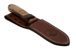 Condor Tactical P.A.S.S. Chute Knife, Fixed Knife -Knife Shop CTK1827 105 4C 06 condor