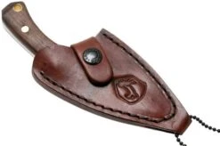 Condor Pangui Knife 802-3.26HC Neck Knife 60706 -Knife Shop CTK802 326HC 08 condor