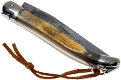 Forge De Laguiole 12110INCABDF, Aubrac-horn -Knife Shop LA12110INCABDF 04 forge de laguiole la12110incabdf 04