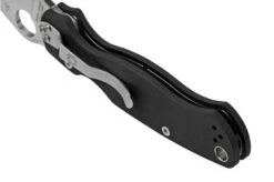 Spyderco Paramilitary 2 C81GP2 Pocket Knife -Knife Shop SPC81GP2 04 spyderco